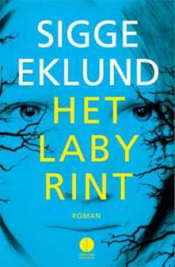 Het Labyrint