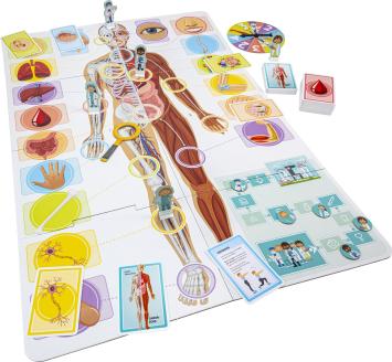 Ik leer: Het Menselijk Lichaam spel - Tactic - Educatief spel