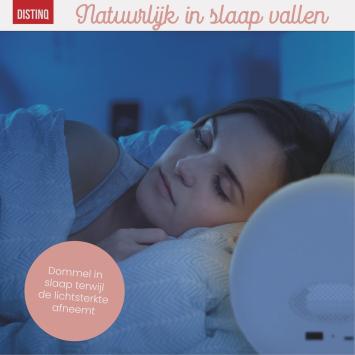 Wake-Up Light – Wekkerradio met dubbele wektijd – Slaaphulp met USB aansluiting